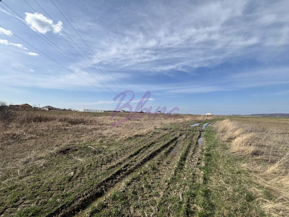 Parcele 518 mp, Cheriu, zona de nord
