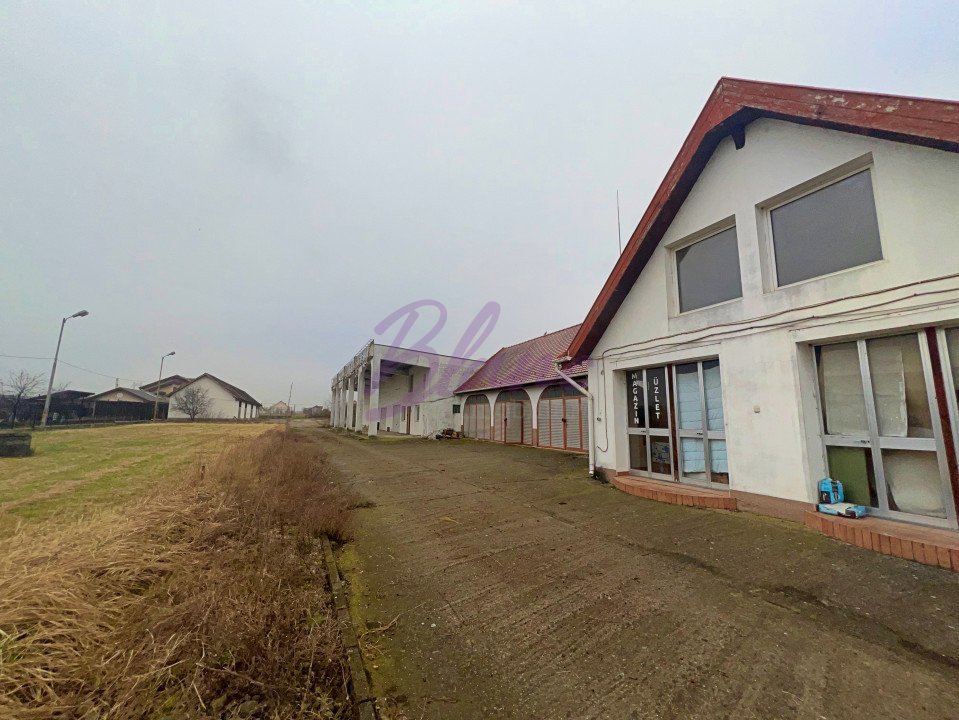 Sediu firma, spatiu comercial, hala de vanzare