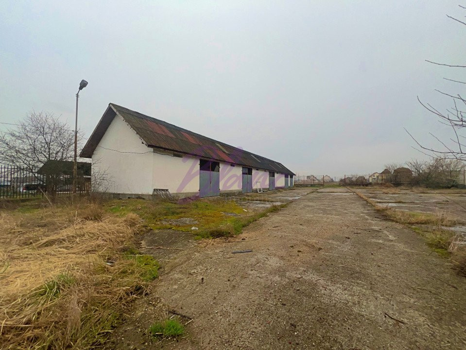 Sediu firma, spatiu comercial, hala de vanzare