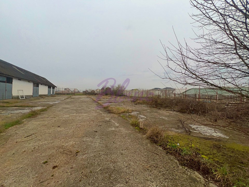 Sediu firma, spatiu comercial, hala de vanzare