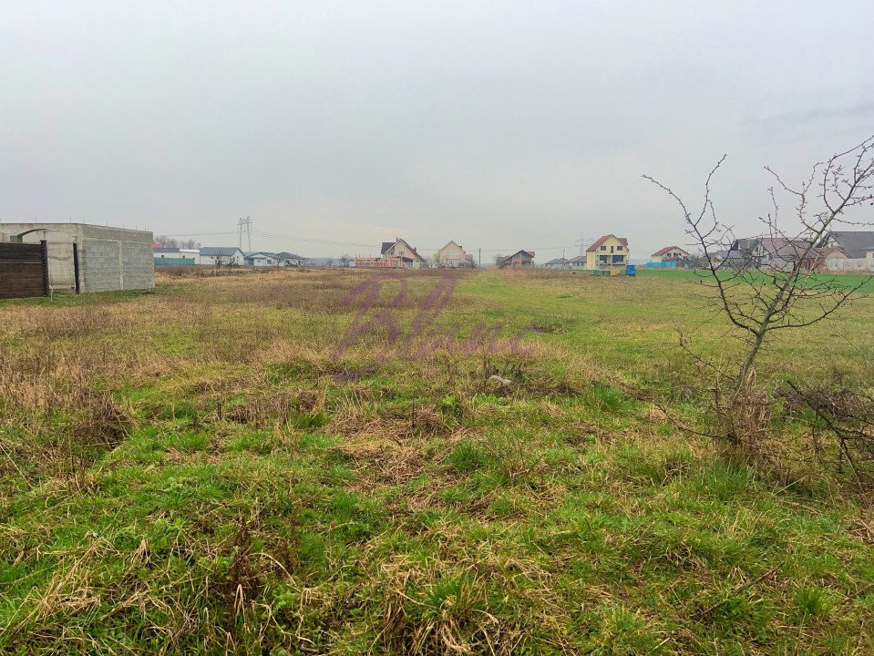 Sediu firma, spatiu comercial, hala de vanzare