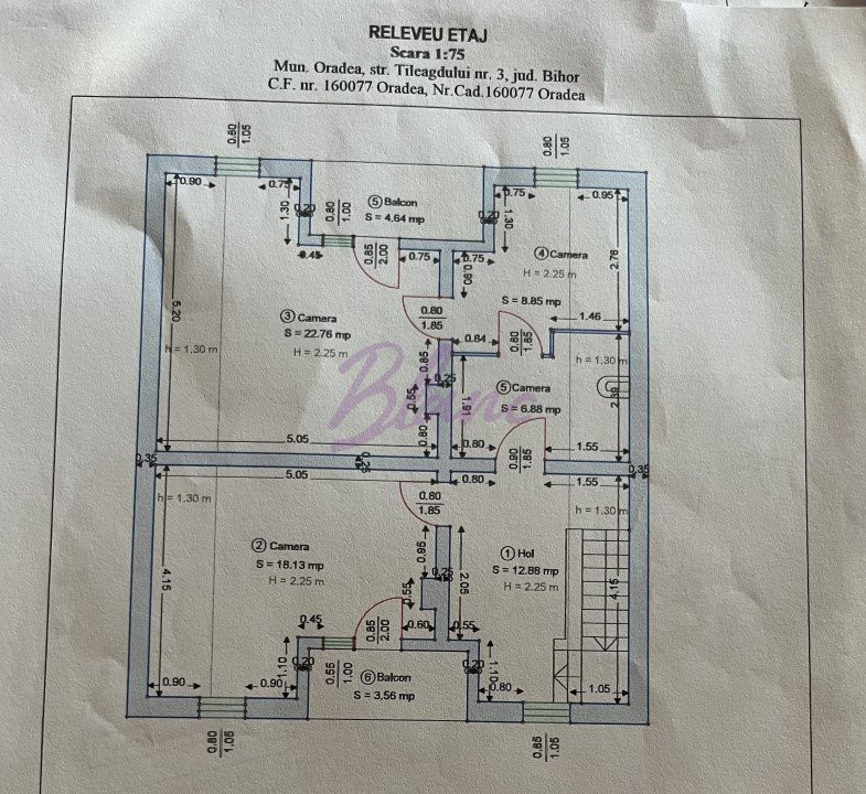 Se vinde Casa pisicilor