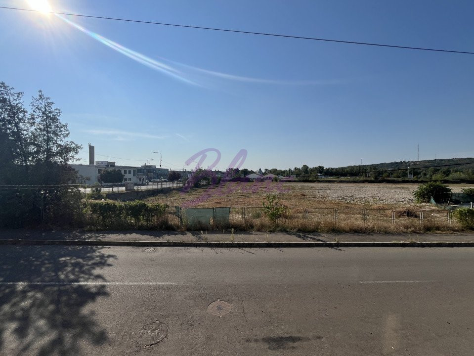 Se vinde Casa pisicilor