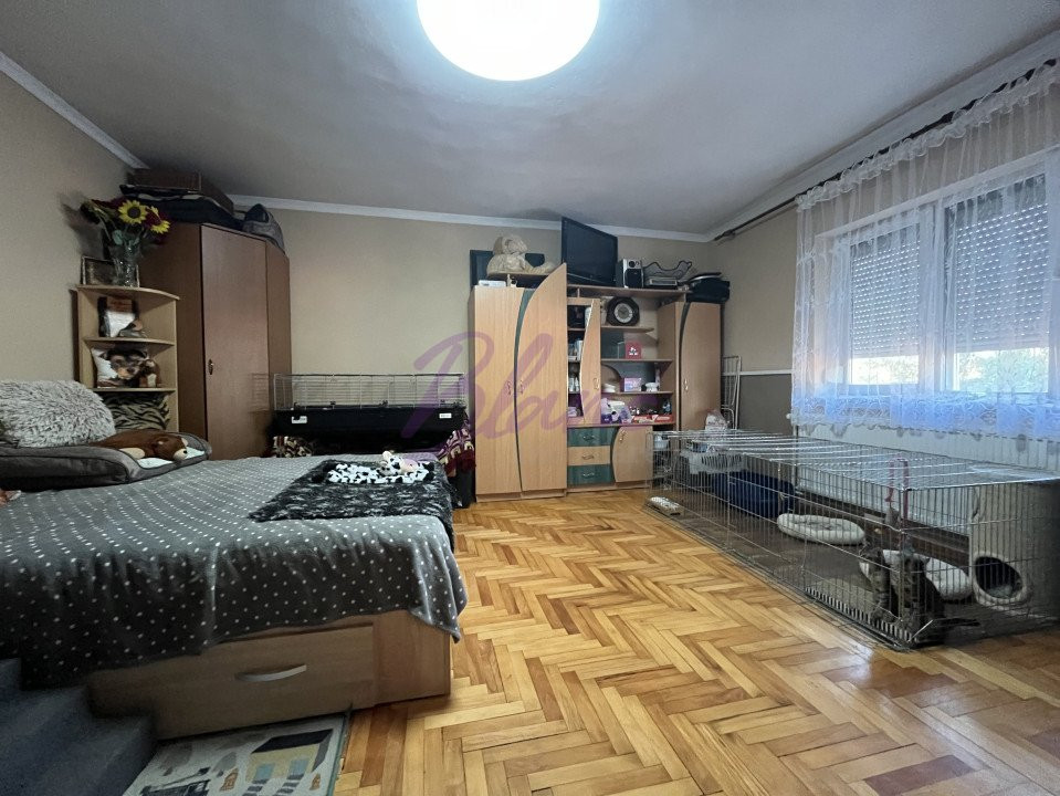 Se vinde Casa pisicilor