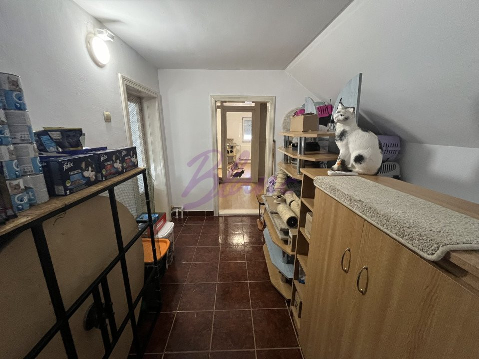Se vinde Casa pisicilor