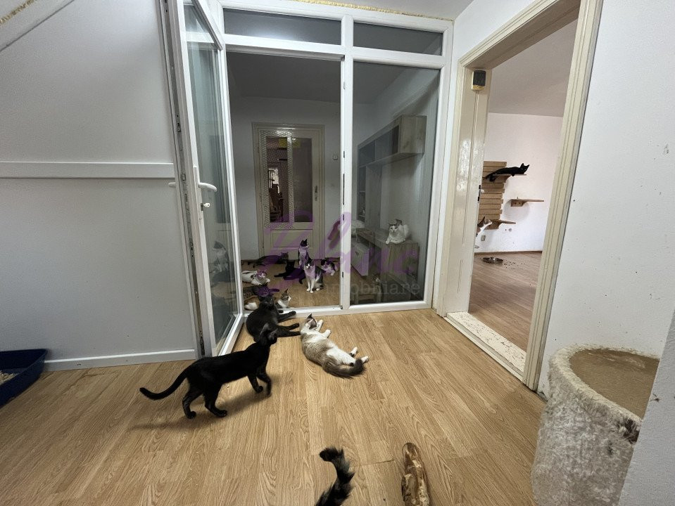 Se vinde Casa pisicilor