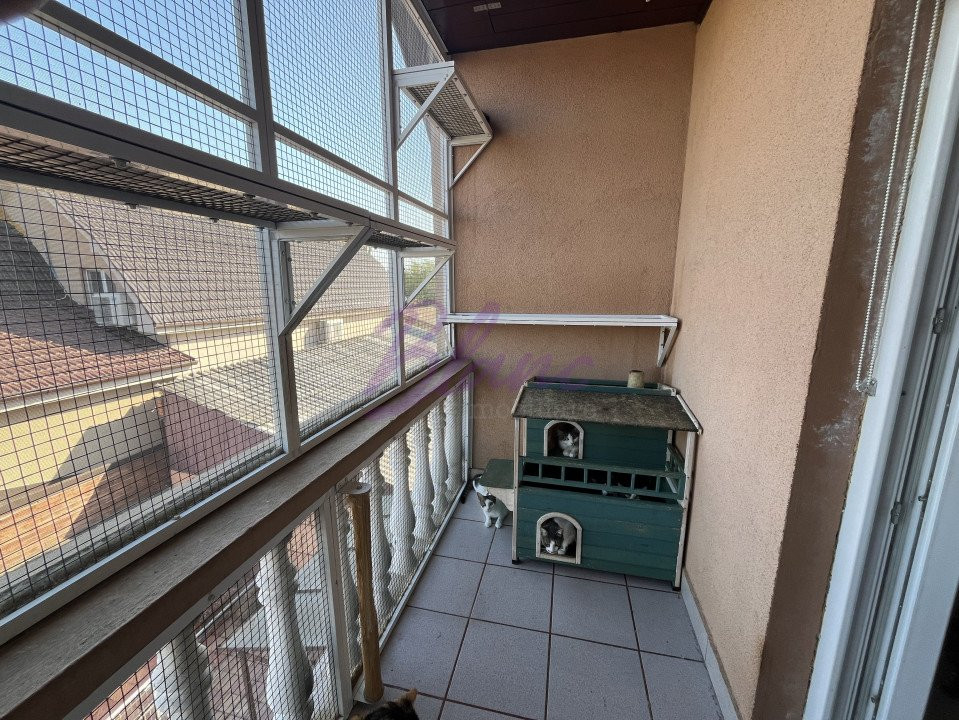Se vinde Casa pisicilor