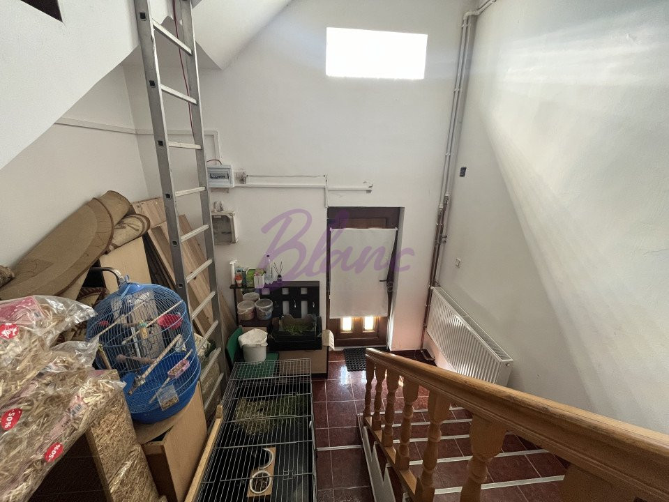 Se vinde Casa pisicilor