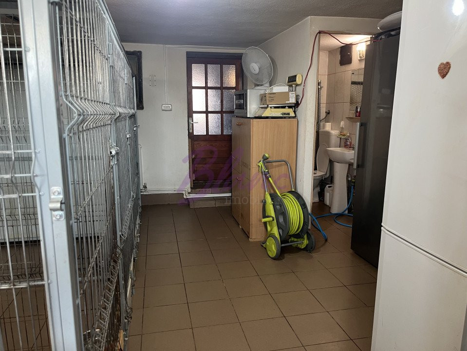 Se vinde Casa pisicilor