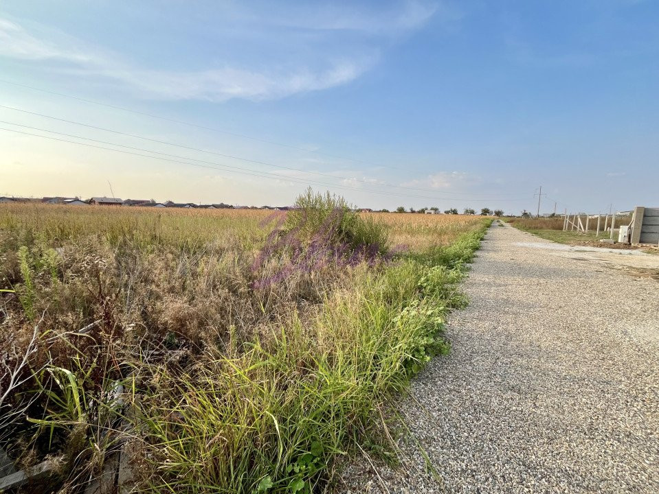 Teren 510 mp, Santandrei