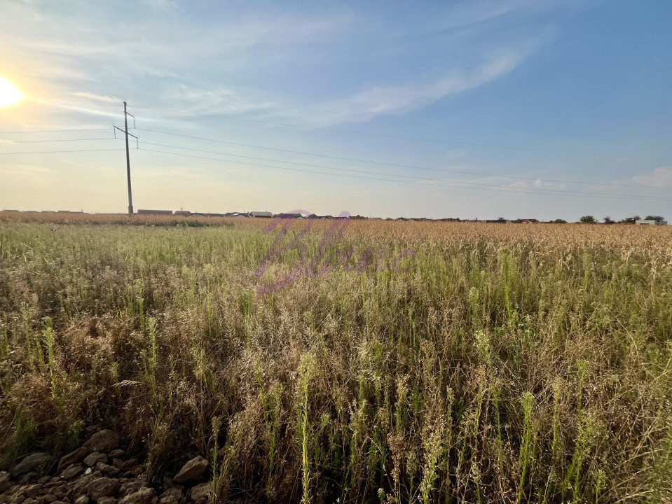 Teren 510 mp, Santandrei