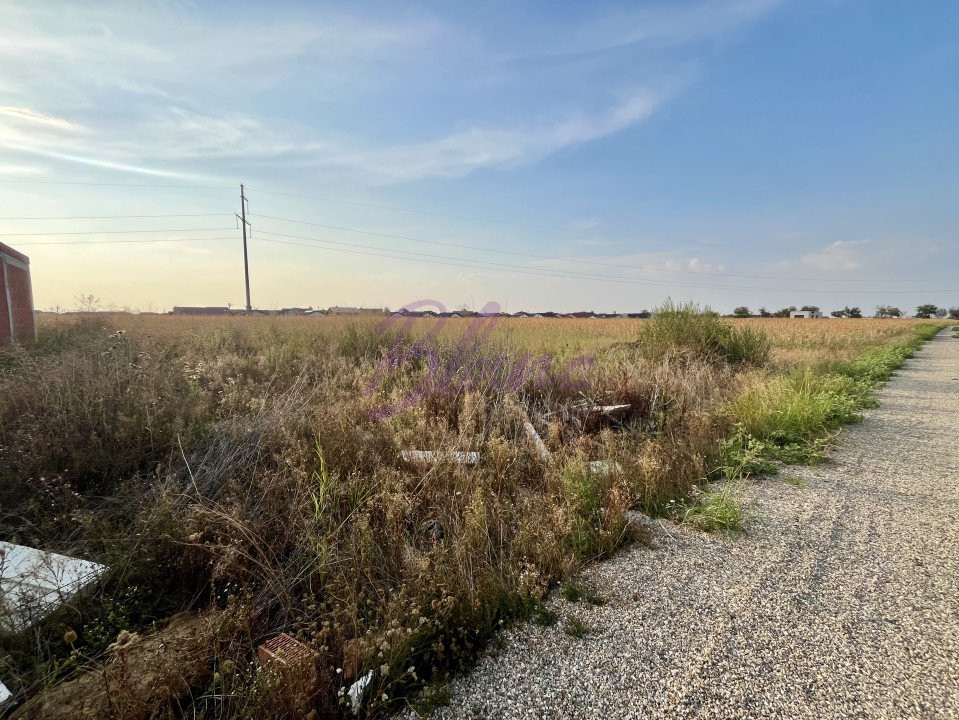 Teren 510 mp, Santandrei