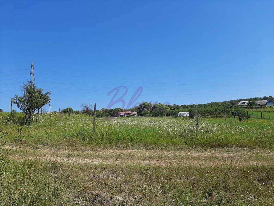 Teren de vanzare Betfia 2877 mp