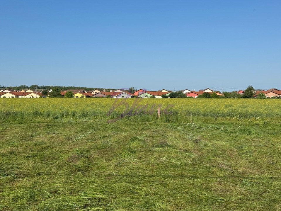 Teren Intravilan  – Paleu, 500 mp, cu PUZ Aprobat și Utilități