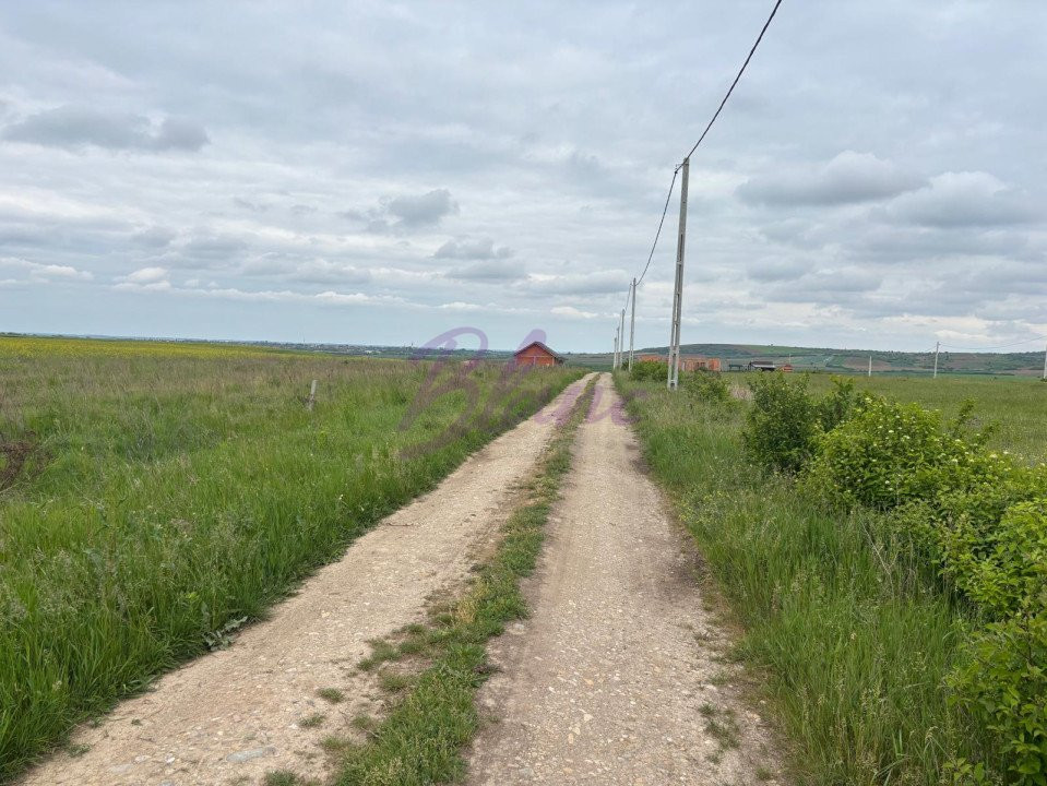 Teren Intravilan  – Paleu, 500 mp, cu PUZ Aprobat și Utilități