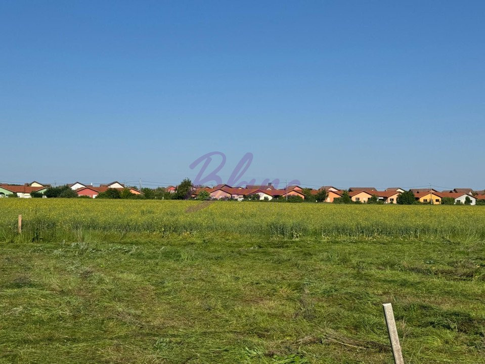 Teren Intravilan de Vânzare – Paleu, 500 mp, cu PUZ Aprobat 