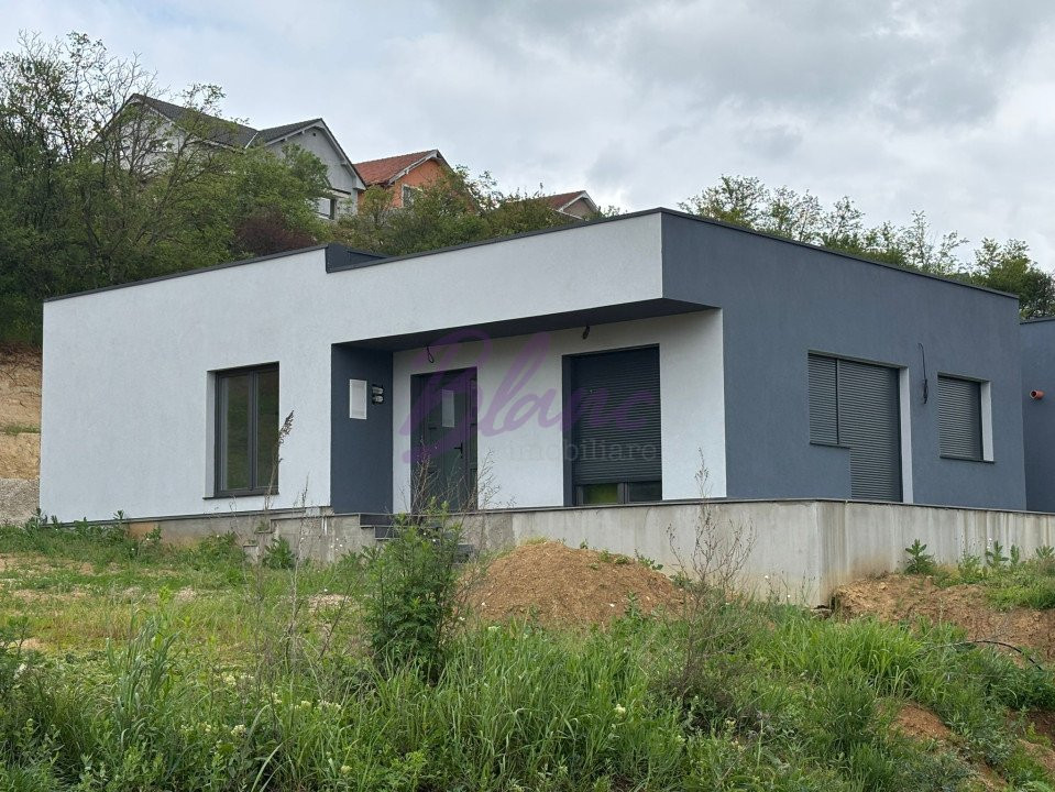 Casă modernă cu 3 dormitoare în Paleu