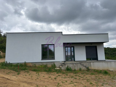 Casă modernă cu 3 dormitoare în Paleu
