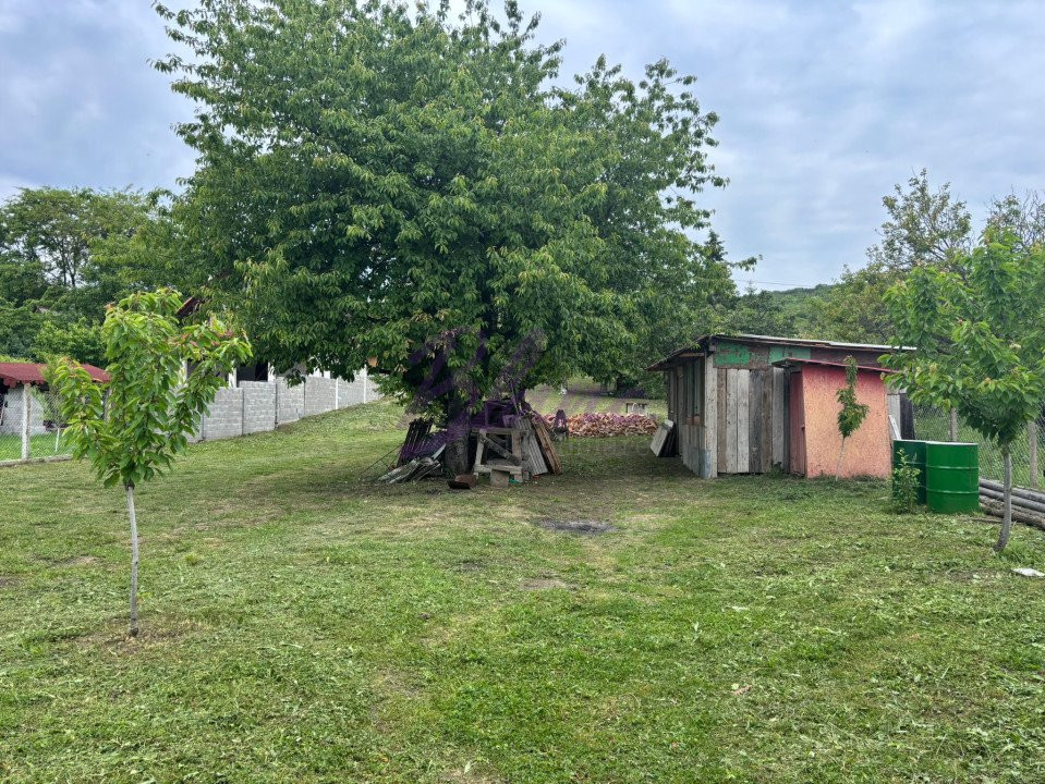 TEREN INTRAVILAN PE DEALURILE DIN ORADEA 