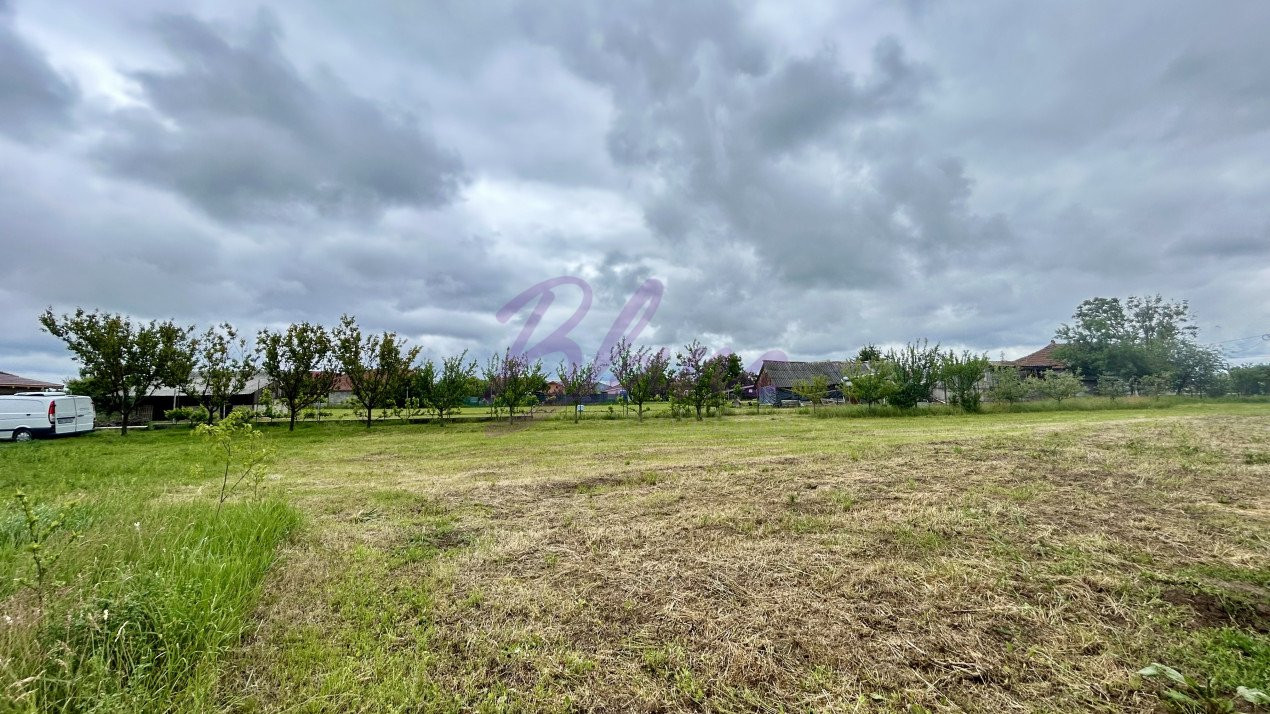 Casă în Leș , 207 mp construiți , 3.482 mp teren 