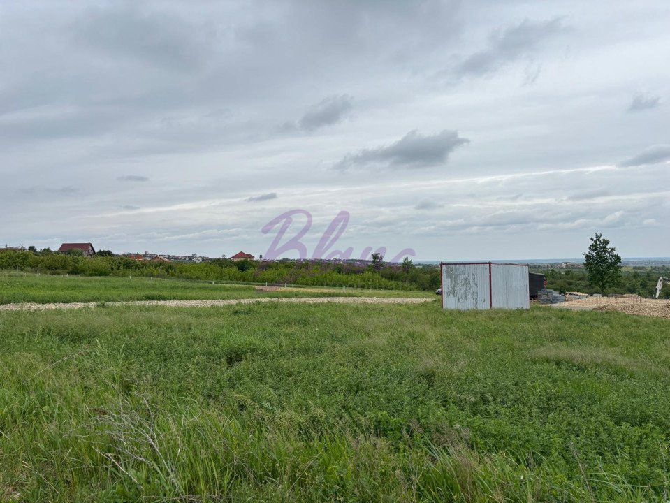 Teren 500 mp Paleu