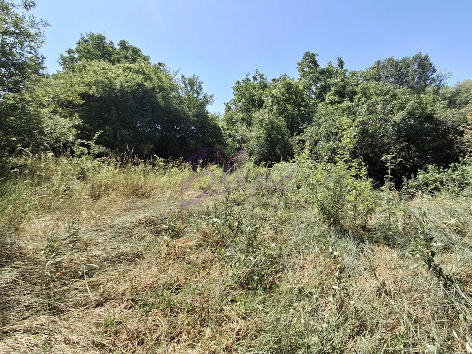 Teren intravilan parcelabil – 1.500 mp zona Facliei