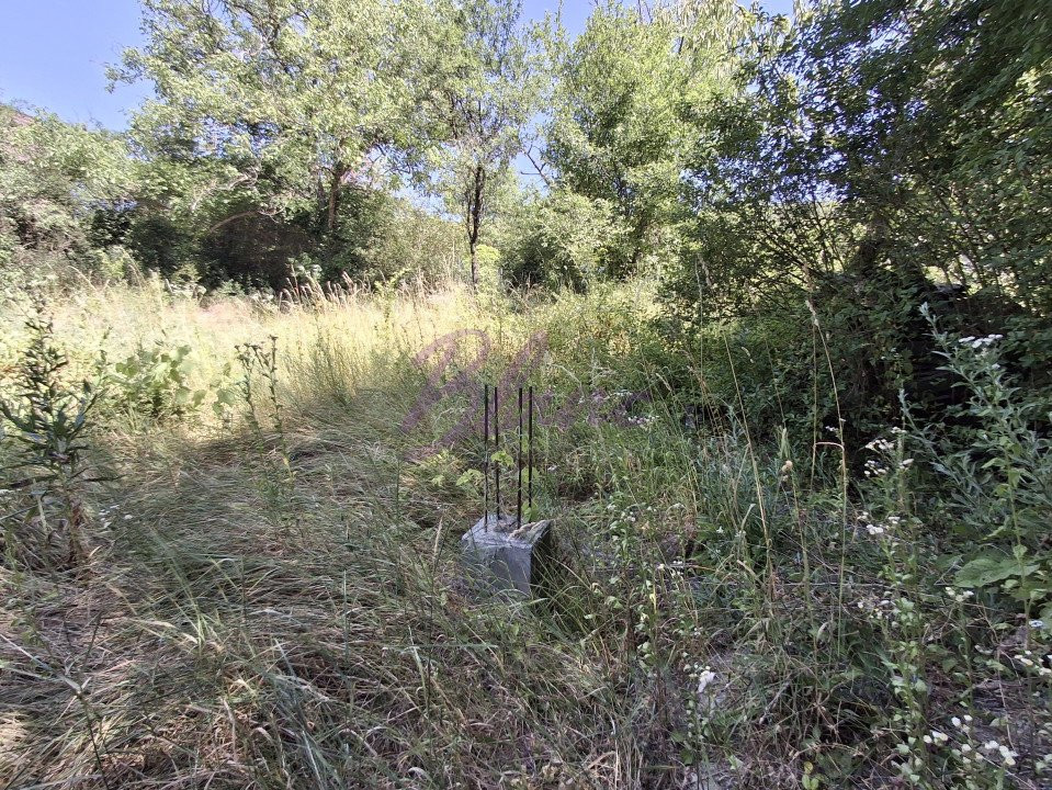 Teren intravilan parcelabil – 1.500 mp zona Facliei