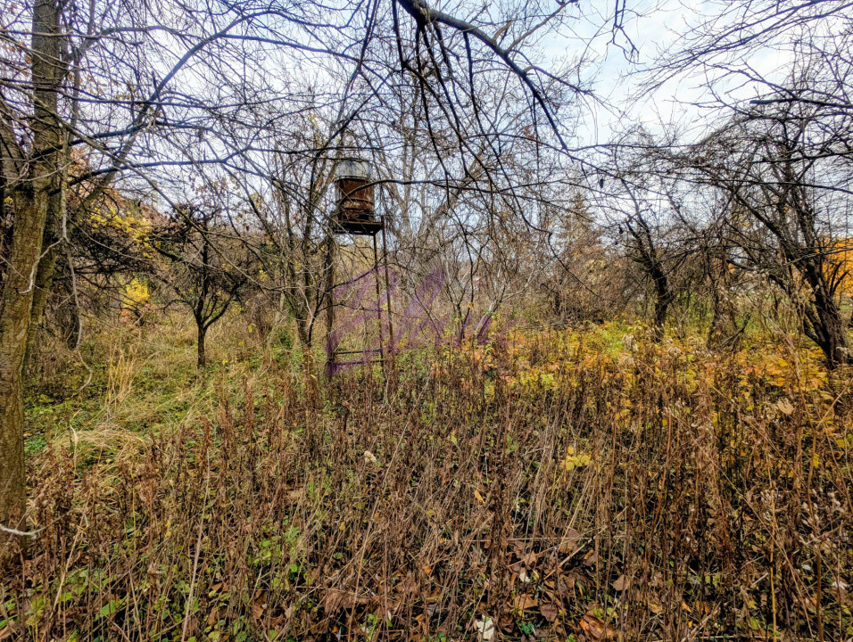 Teren intravilan parcelabil – 1.500 mp zona Facliei