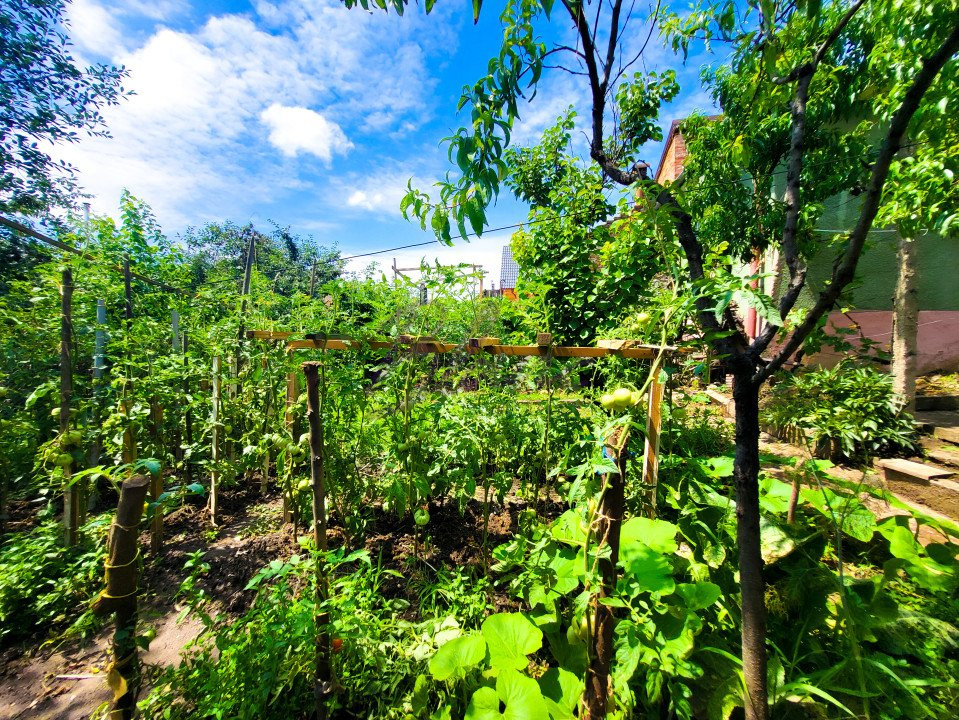 Casa 3 camere, Strada Izvorului, 306mp curte
