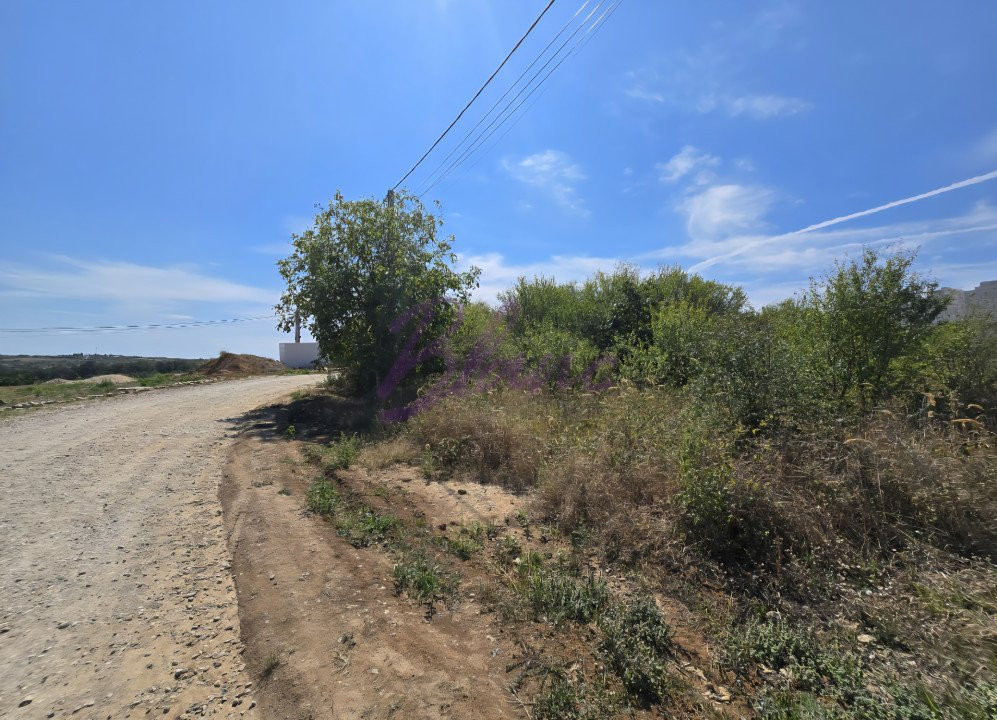 Teren Paleu Intravilan 