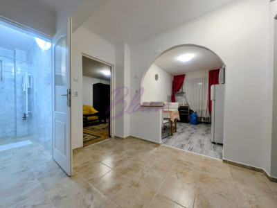 Apartament 1 camera Cantemir