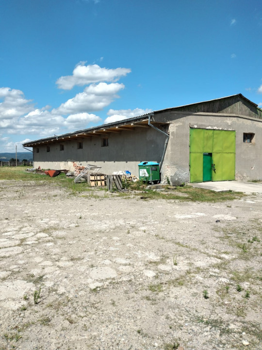 Hala/Cladire industriala de inchiriat ,SU 745 mp.,loc.Chistag/zona Alesd