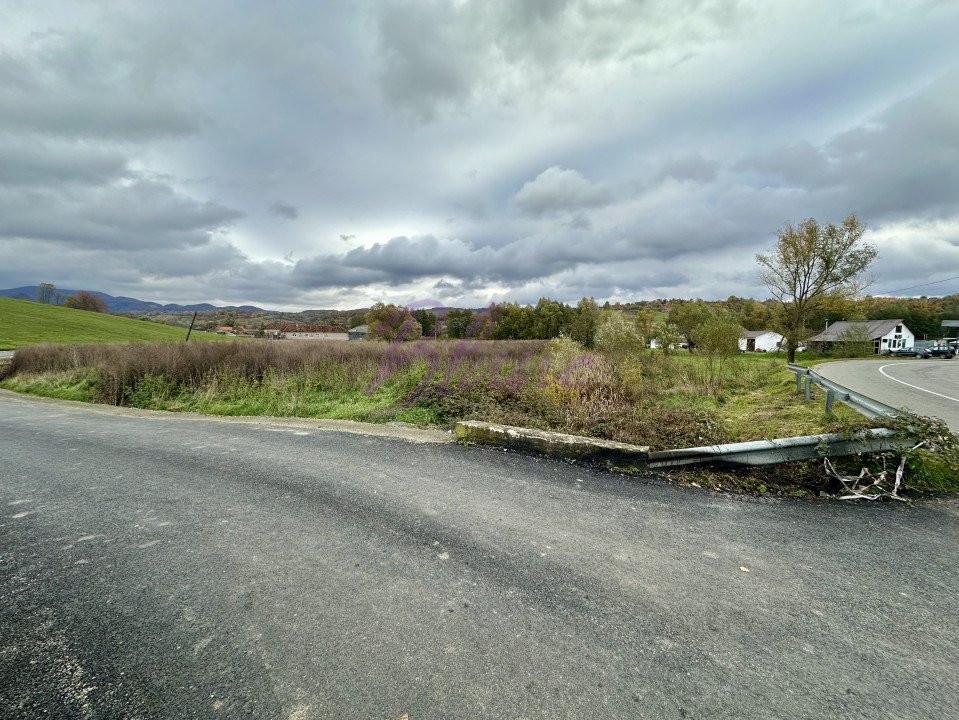 Teren intravilan 3.749 mp – Beznea, com. Bratca, jud. Bihor