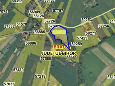 Teren intravilan 3.749 mp – Beznea, com. Bratca, jud. Bihor