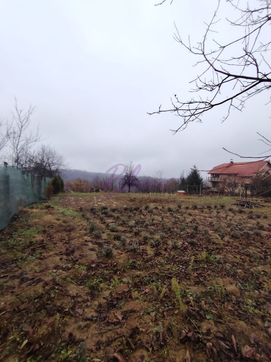 Teren intravilan in Saliste de Beius