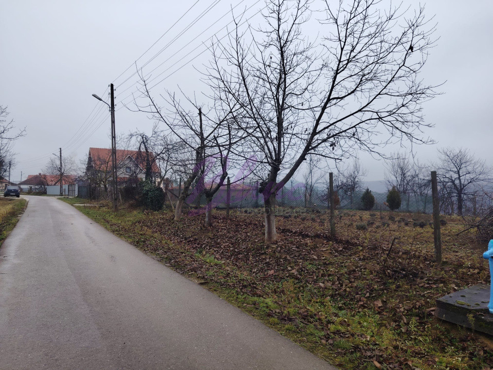 Teren intravilan in Saliste de Beius