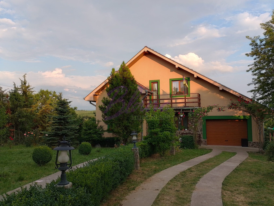 Casa superba in Saliste de Beius