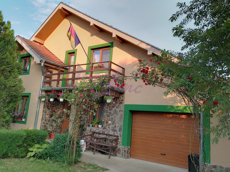 Casa superba in Saliste de Beius