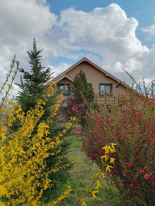 Casa superba in Saliste de Beius