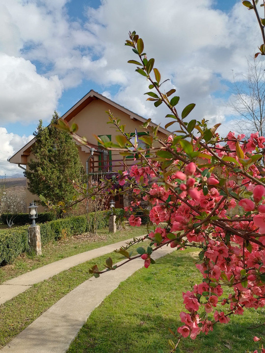 Casa superba in Saliste de Beius