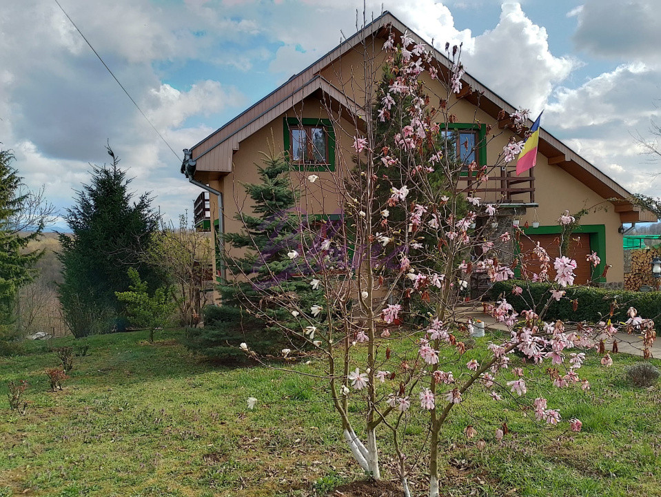 Casa superba in Saliste de Beius