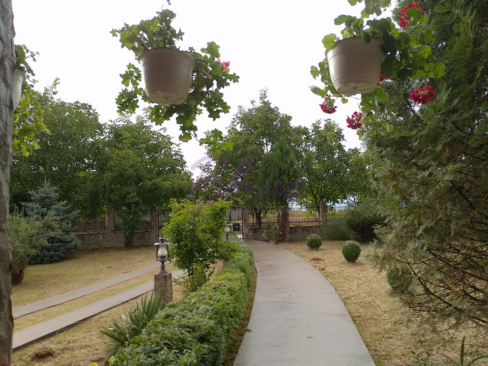 Casa superba in Saliste de Beius