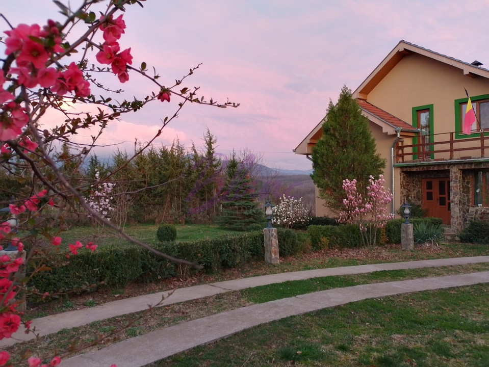 Casa superba in Saliste de Beius