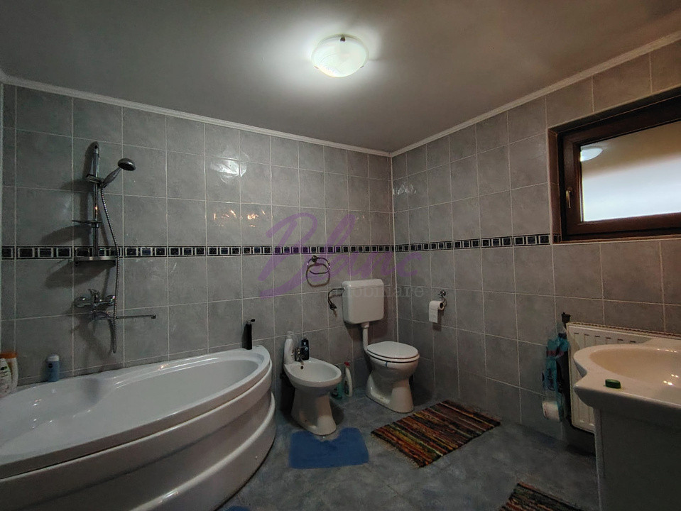 Casa superba in Saliste de Beius