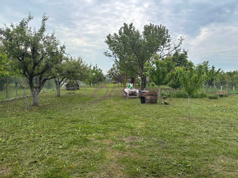 Teren intravilan, pe dealuri, in ORADEA