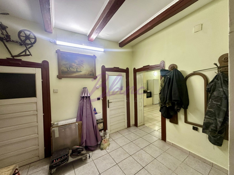 Proprietate mixtă de vânzare – locuință + hală – Tășnad, SM