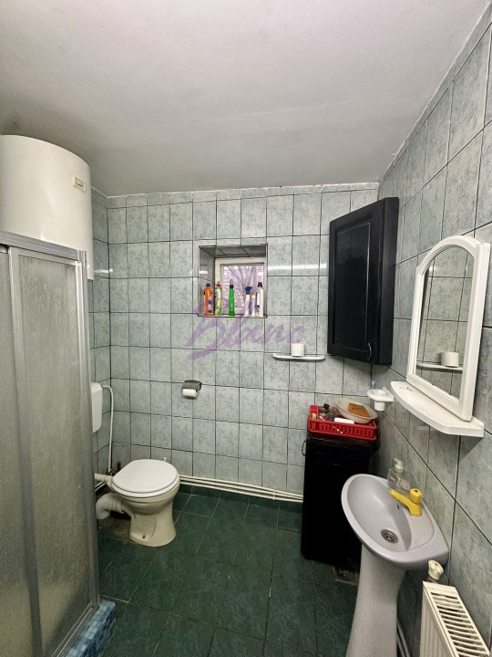 Proprietate mixtă de vânzare – locuință + hală – Tășnad, SM