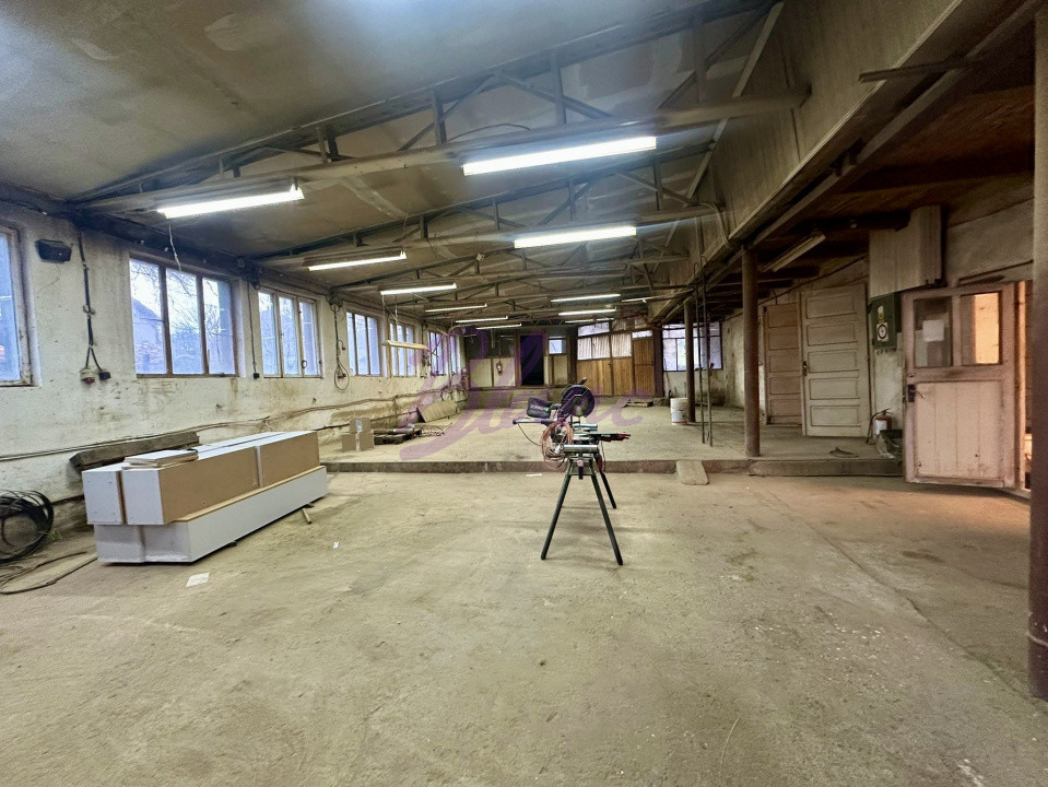 Proprietate mixtă de vânzare – locuință + hală – Tășnad, SM