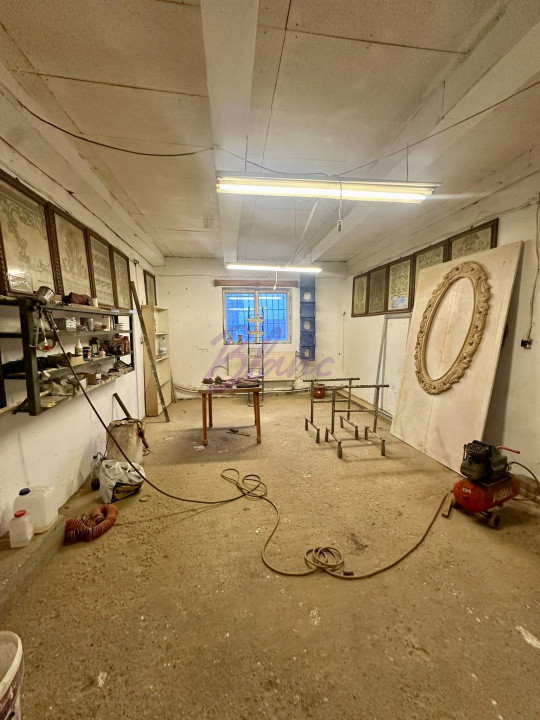 Proprietate mixtă de vânzare – locuință + hală – Tășnad, SM