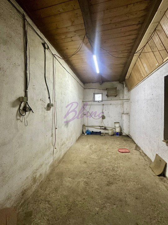 Proprietate mixtă de vânzare – locuință + hală – Tășnad, SM